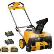 Dewalt DCSNP2142Y2