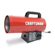 Craftsman F310100