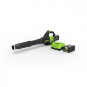 Greenworks BL80B210