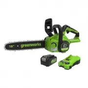 Greenworks CS24L410