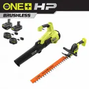 Ryobi P21120-HDG2