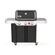 Weber 1500576