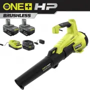 Ryobi P21120-BK