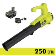 Ryobi P21110